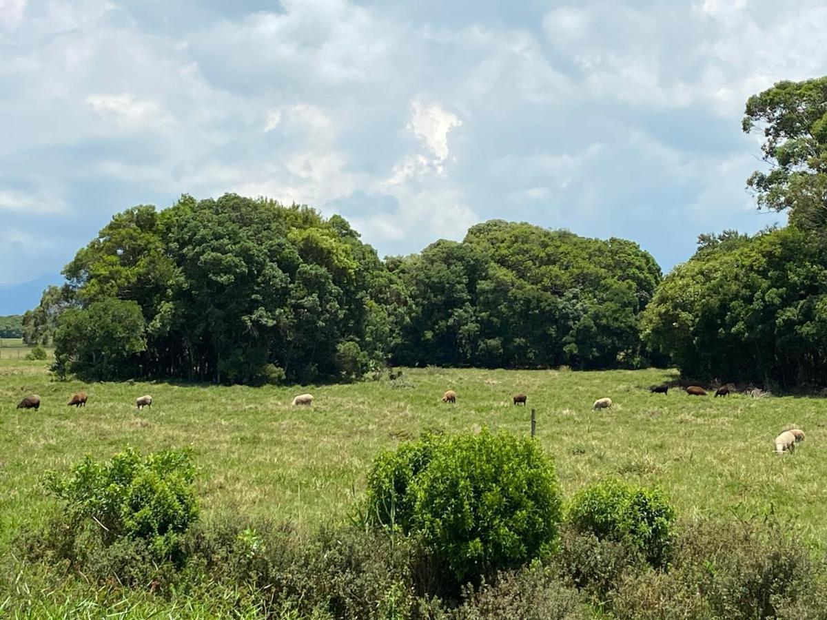 Haras Trevo De Ferro, Praia, Piscina E Campo Torres Eksteriør billede